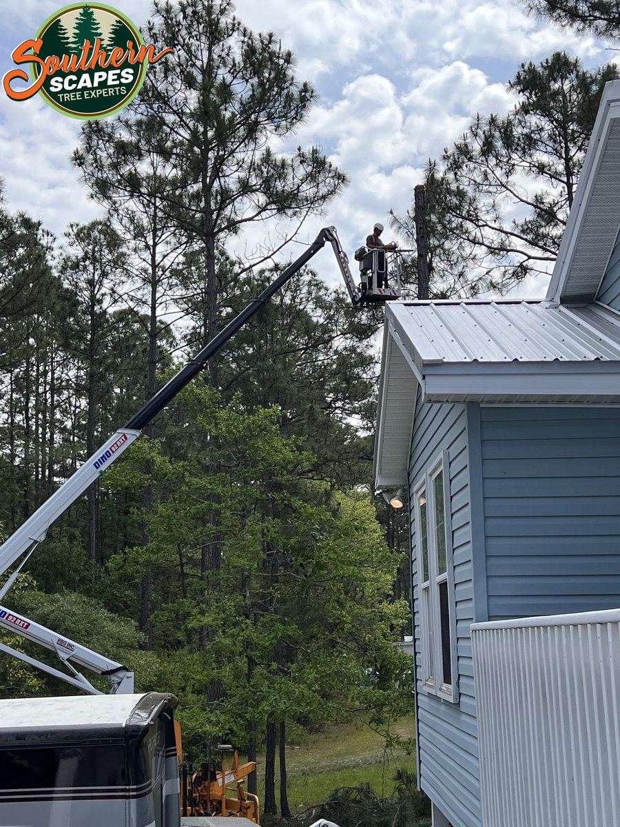 ScapesTree's tweet image. 🏞️🌲 Shape your trees, shape your landscape! 💪⚙️ Southern Scapes Tree Experts' certified operators and skilled climbers bring out the best in your trees.  #ShapeYourLandscape #TrimmingArt #SouthernScapesTreeExperts s2tree.com/services/pruni…