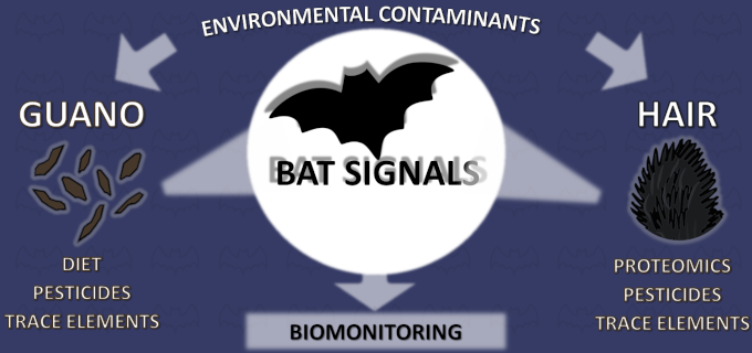 Emanuele Ferrari tweet media