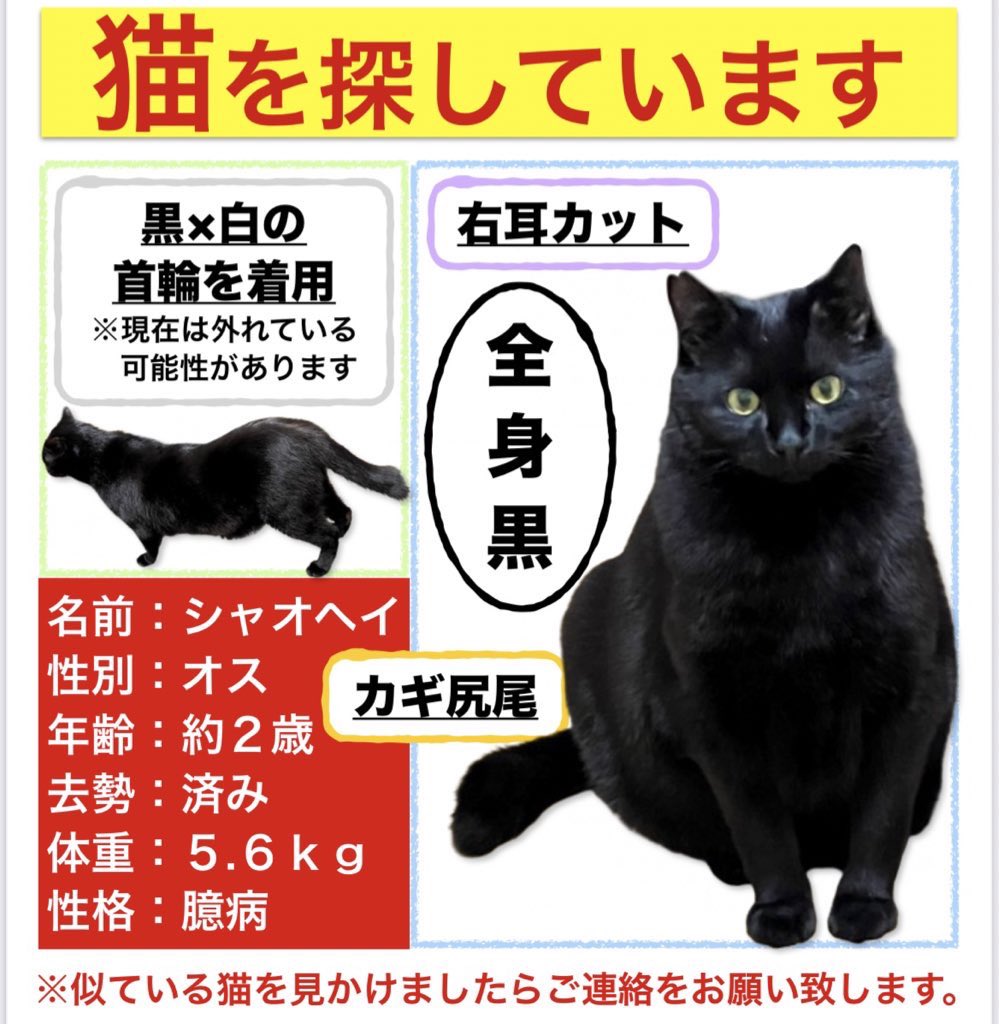 HsuMeifang's tweet photo. 今年の夏に三鷹市大沢の里、古民家の水車の近くで黒猫の目撃情報があって、あの周辺を何度も探しましたが、白黒猫しか会えませんでした。
つい最近水車の近くでまた黒猫についての目撃情報が入りました。黒猫について周辺住民の方々情報ありましたらよろしくお願いします🙇‍♀️

#保護猫 #地域猫 #野良猫 https://t.co/SlvmNYcHXG