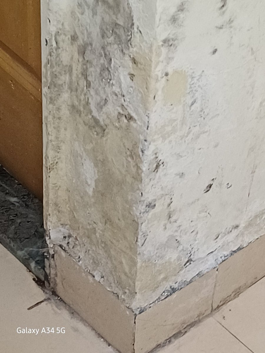 NIRAJ  KUMAR NIRALA tweet media