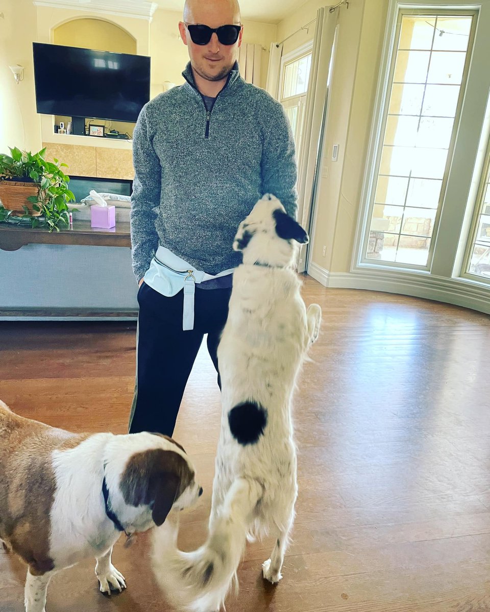 itsnathanhirsch's tweet photo. Double the trouble, double the love. Just me and my furry partners in crime. 🐕🐕 . 🐾❤️
Are you a dog person like me?
#EntrepreneurLife #DogLover #BusinessOwner #FurBaby #WorkAndWoofs #DogFriendlyOffice #DogObsessed #Entrepreneurship #DogsOfInstagram #BusinessAndBarks #WorkLif https://t.co/7elrSuAFcT
