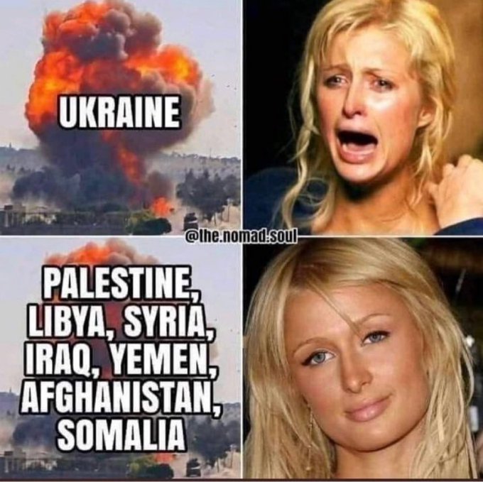 Irudia