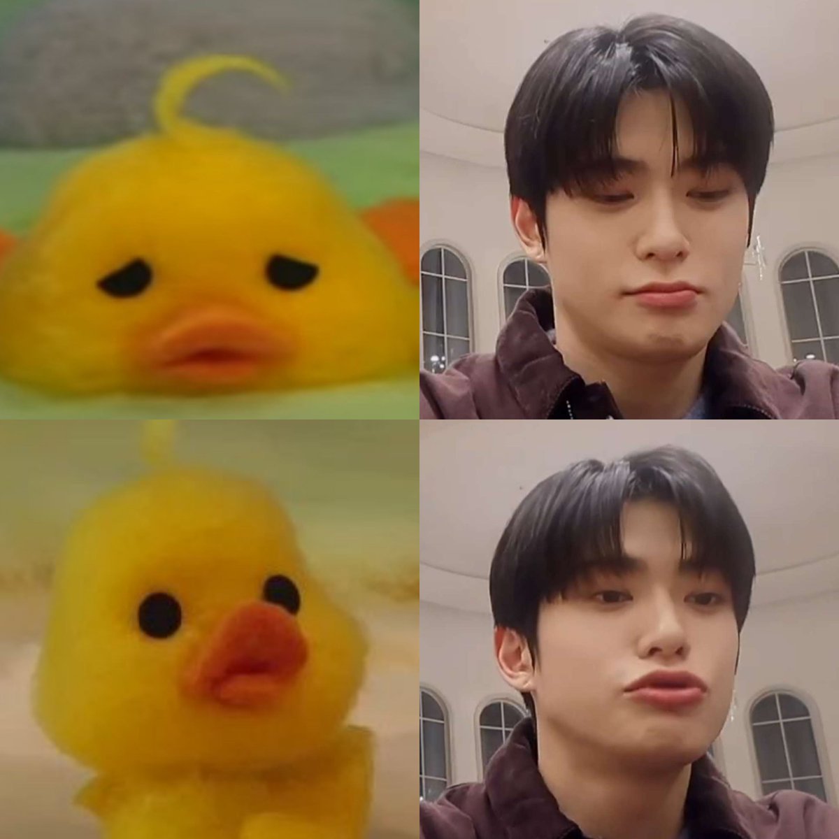 아기오리 💛