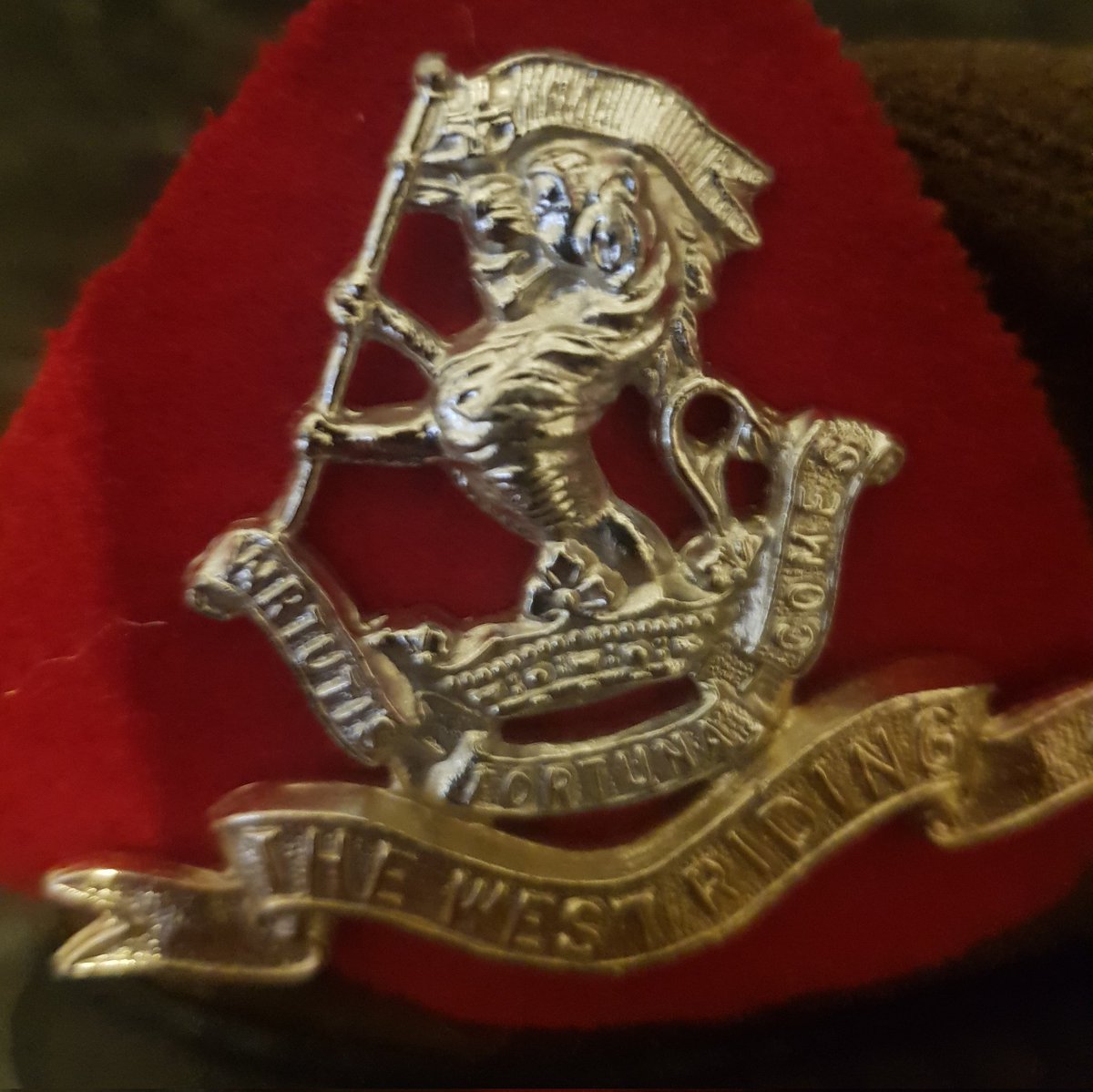 hacko1979's tweet image. #NewProfilePic