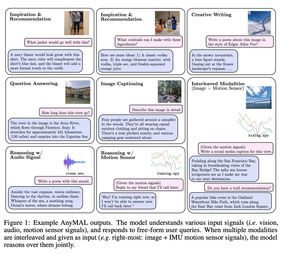 Martin Signoux tweet media