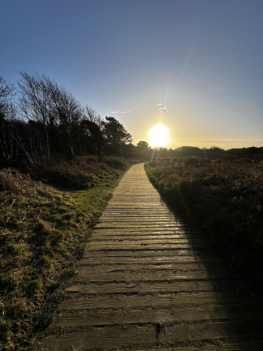 Sheila Murphy tweet media