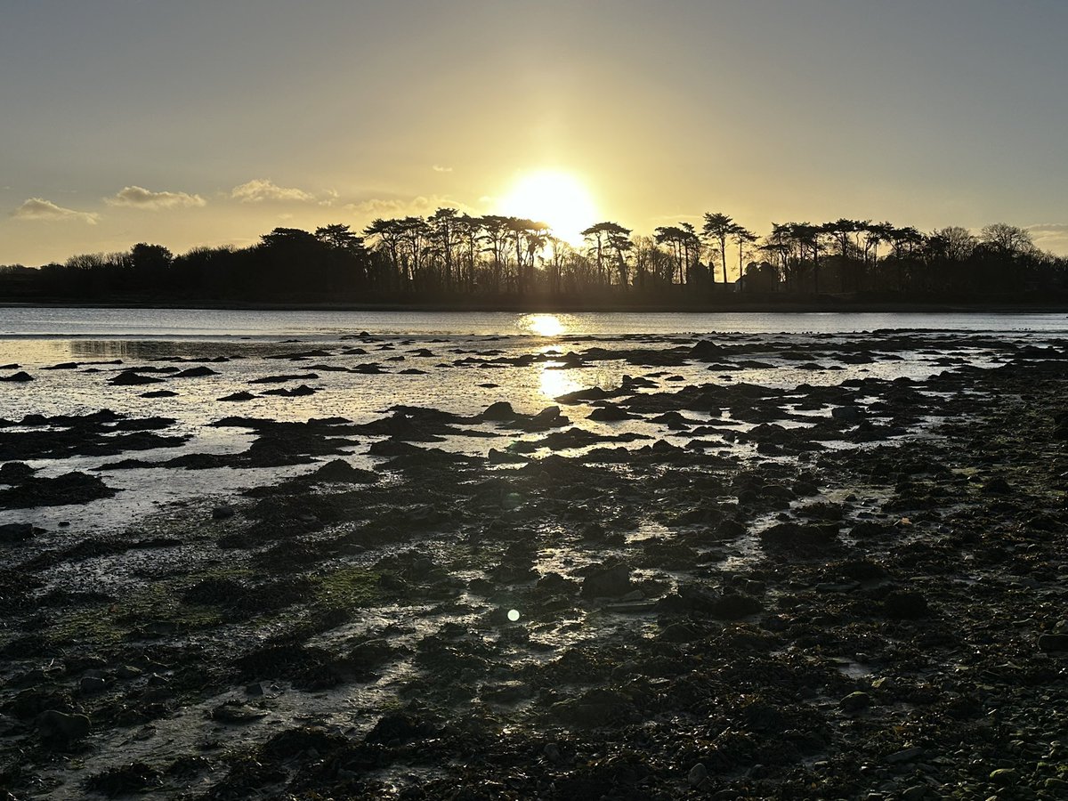 Sheila Murphy tweet media