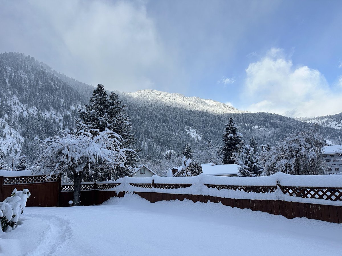 danielOut's tweet image. I put a linktree in my bio in case anyone desires to get in touch; my "temp absence" on social media has turned in to multiple years now and I don't see that changing. tldr: we moved to the mountains, we have two new cute cats, and are doing well. thxbye.