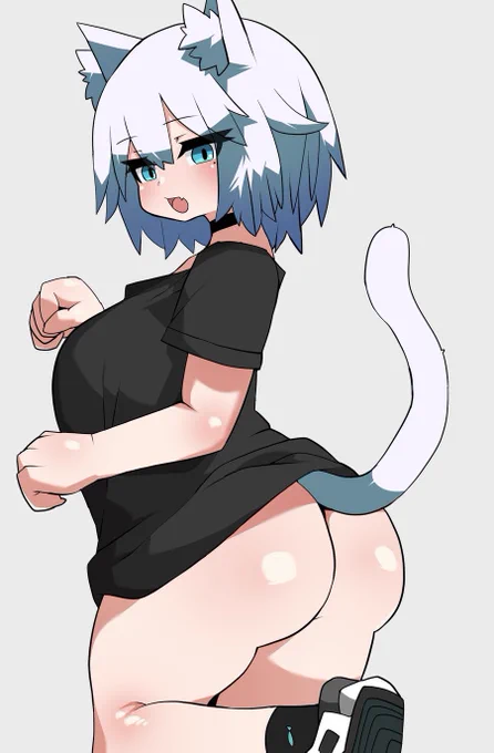 #引用リツで雑に紹介される 教えてにゃんこ 