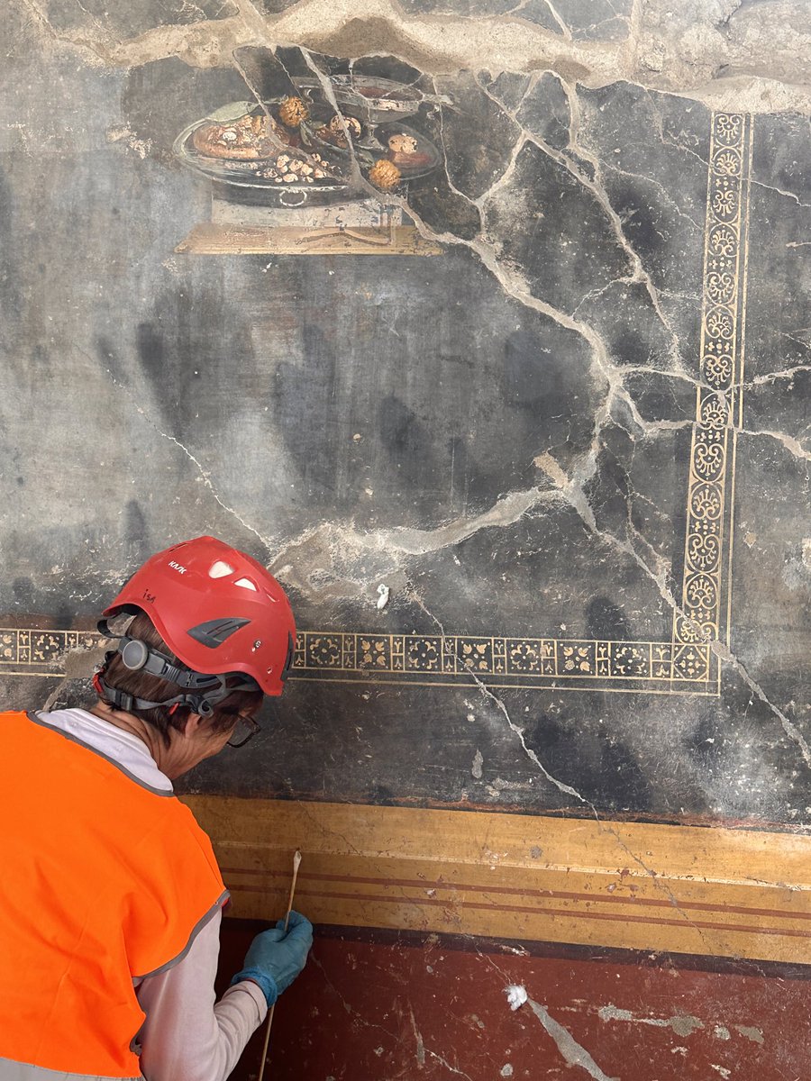 pompei79's tweet photo. An amazing opportunity from @pompeii_sites for the public to visit the new excavations in Region 9 #Pompeii to see work in progress on the site where the fresco of the focaccia was found along with the shrine &amp; the signs of AD 79 building works.
Book in advance via the link below https://t.co/LdI8hpBfbx