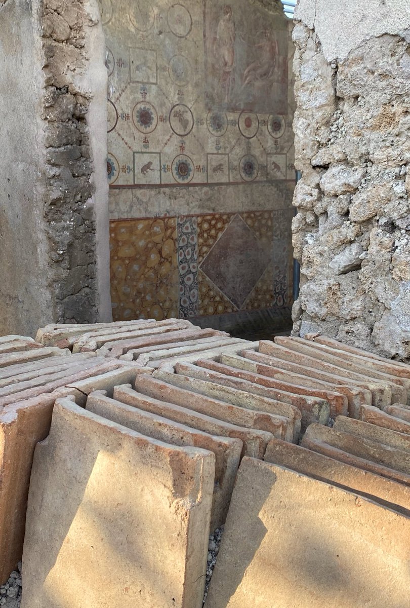 An amazing opportunity from @pompeii_sites for the public to visit the new excavations in Region 9 #Pompeii to see work in progress on the site where the fresco of the focaccia was found along with the shrine & the signs of AD 79 building works. Book in advance via the link below