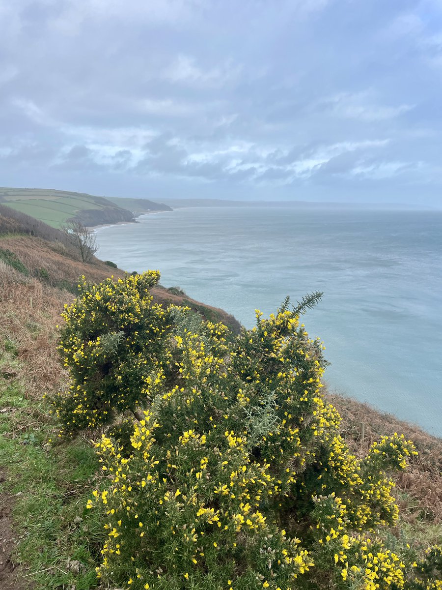 A much needed wild and beautiful trip to Beesands and walk along the coast path.