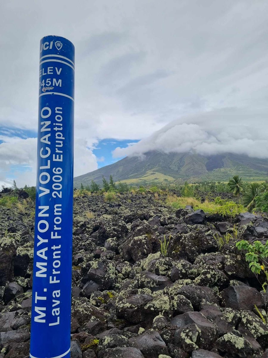 Cecille Tribunal tweet media