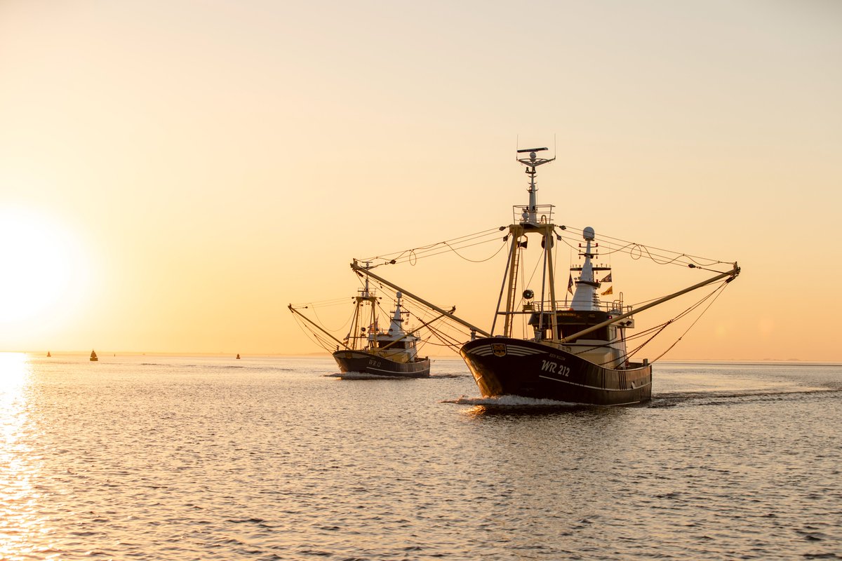 LuytGroep's tweet photo. Koers zetten naar 2⃣0⃣2⃣4⃣!
Deze laatste dagen van het jaar werken we vanuit onze 'thuishaven' toe naar een nieuw uitdagend jaar. Vastberaden stropen we met elkaar opnieuw de mouwen op & staan we voor u klaar in 2024!
#Machinefabriek #Dokbedrijf #LUYT #DenOever https://t.co/VexoomZaZP