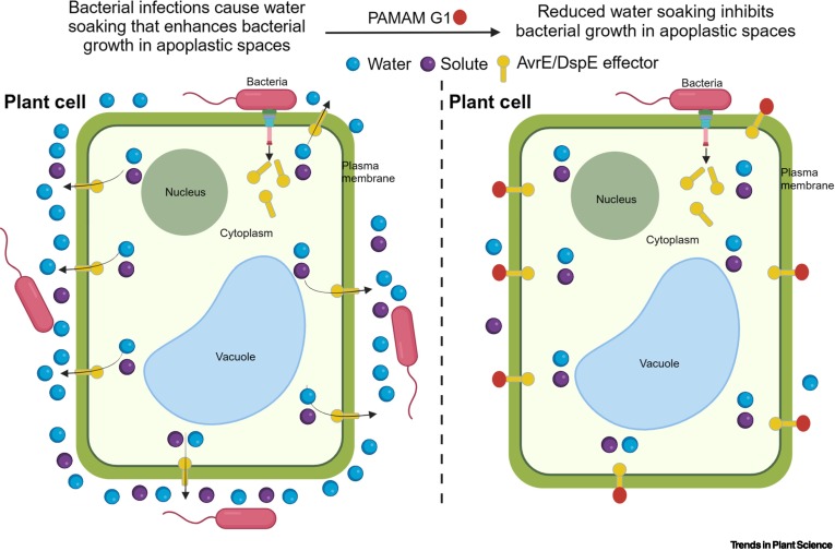 TrendsPlantSci tweet media