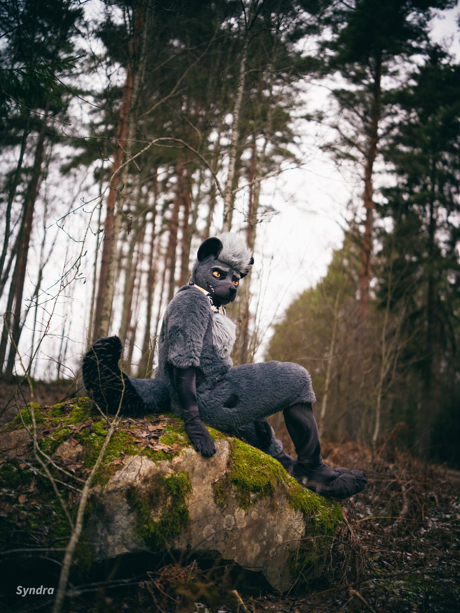 Found a cozy rock🗿
Happy new year and #FursuitFriday
Photo by <a href="/SyndraFox/">Syndra</a>