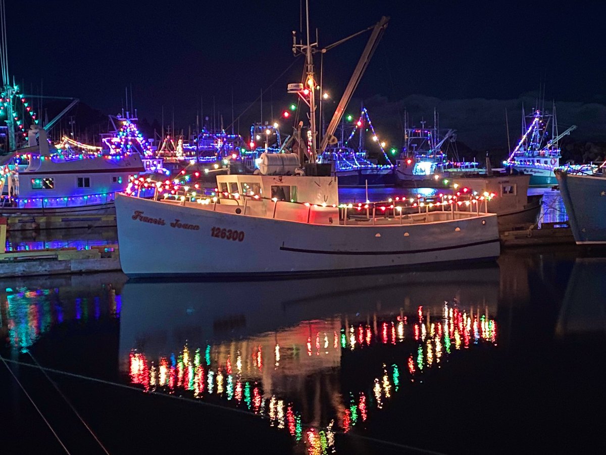 Christmas in the Harbour in Port de Grave is magical 🌟 #nlwx #Christmas2023 #ExploreNL #NL