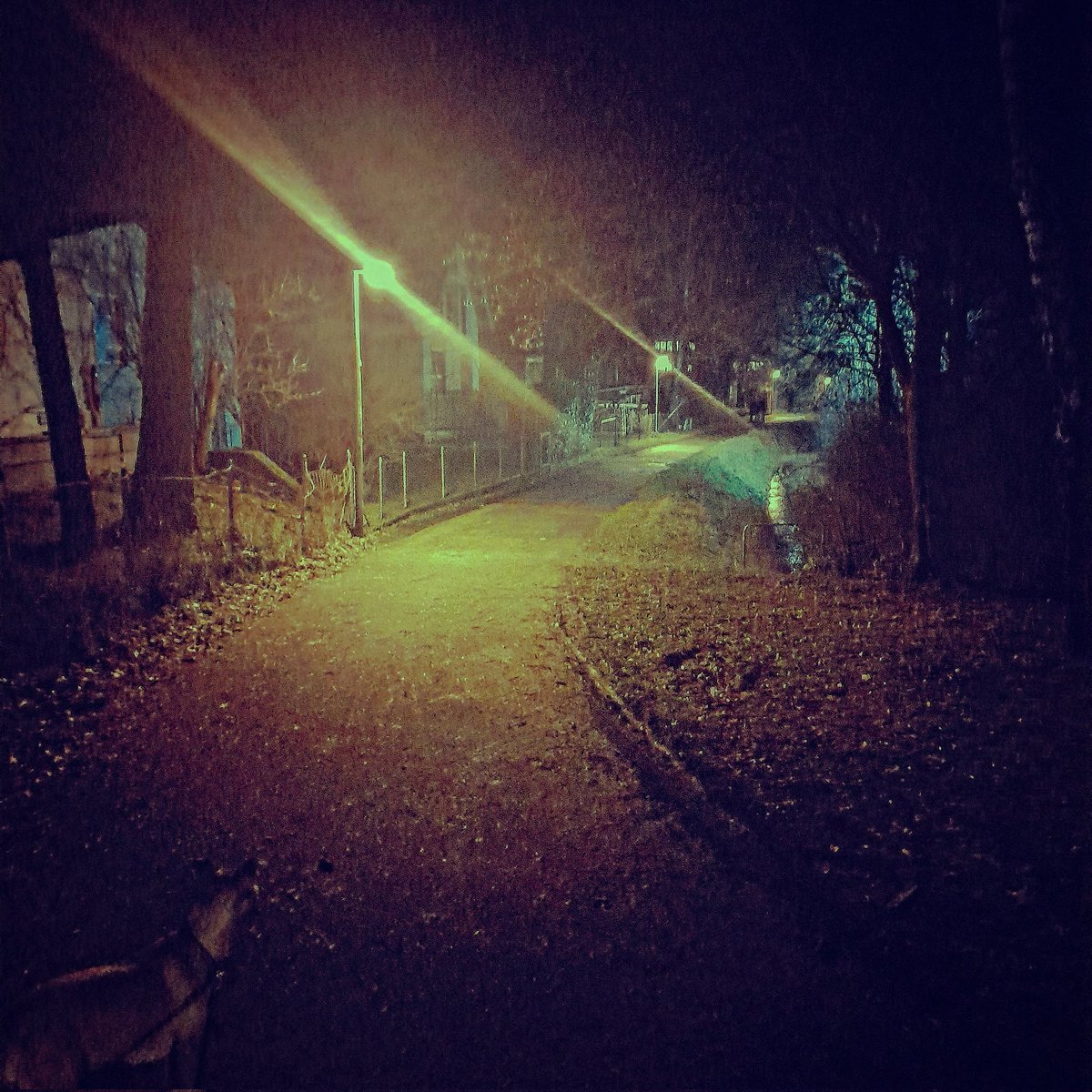 ALLSPORES's tweet image. 