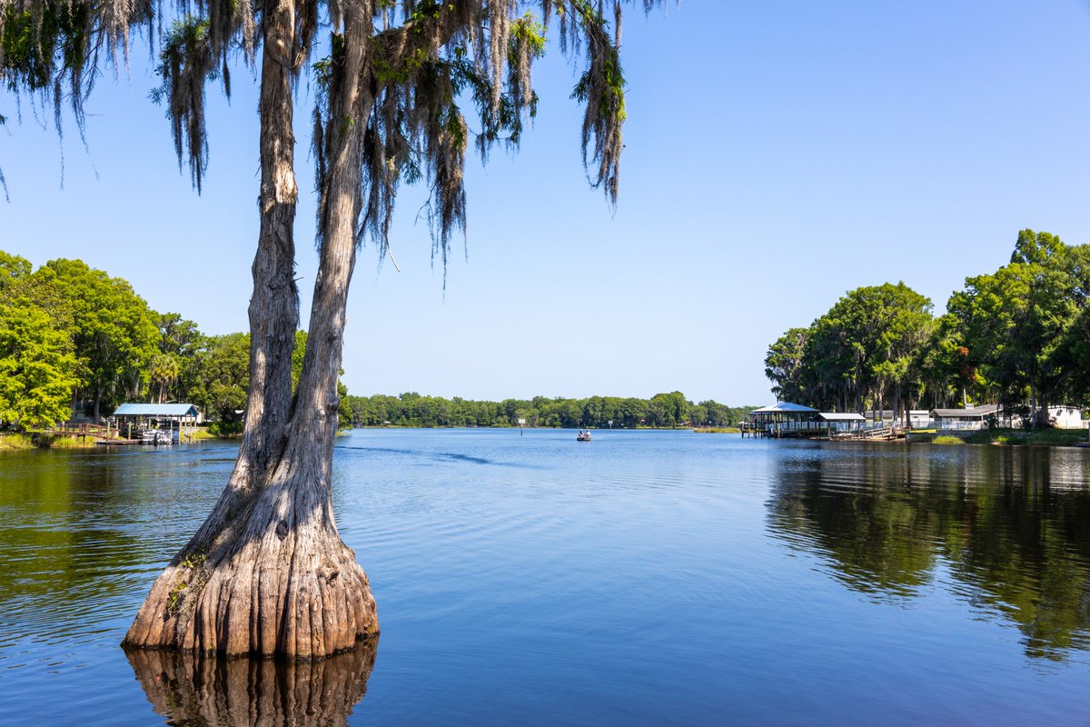 FLSheriffs's tweet photo. This #FloridaFriday, we're coming to you with clear skies and sunshine to brighten your day! Take a look at this beautiful shot of one of the many lakes in Citrus County, courtesy of @SheriffCitrus.☀️☀️ https://t.co/S93iJ4buQH