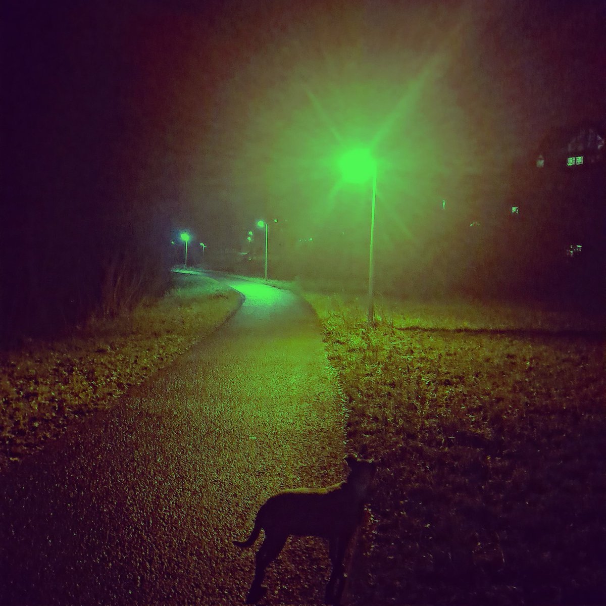 ALLSPORES's tweet image. 