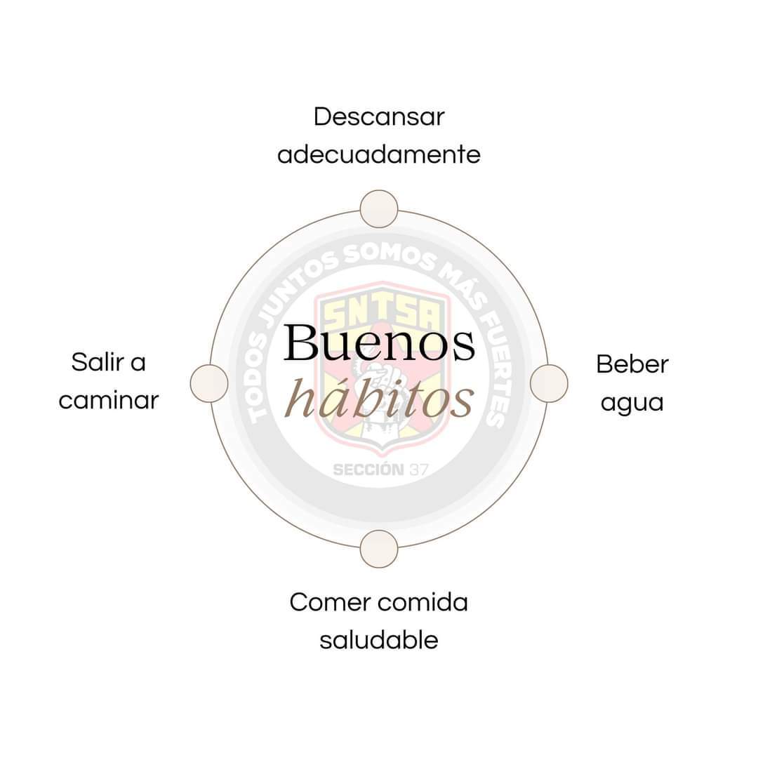 sntsa_37's tweet photo. Buenos hábitos: clave para éxito, salud y bienestar. Impactan en productividad y estabilidad emocional, construyendo un futuro positivo. https://t.co/00SszKqcju