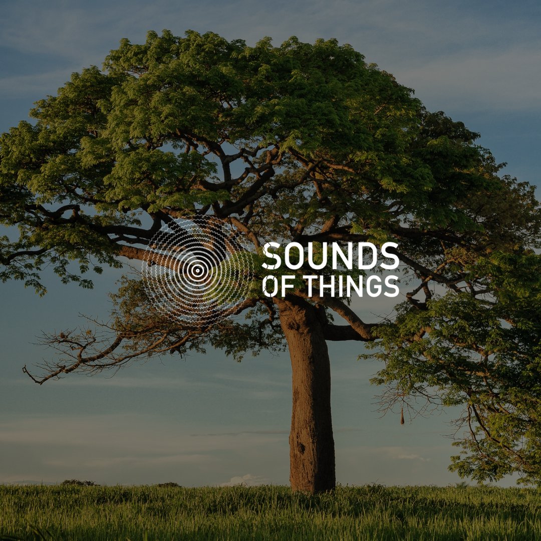 SoundsOfThings's tweet photo. In the journey of life, endurance is your greatest ally. Never give up on the path to your dreams; each step forward is a victory. What's your favorite quote that keeps you going? Share the wisdom that fuels your endurance! 🌟👣
#soundsofthings #soundlovers #soundmagic https://t.co/LJTz2vYveD