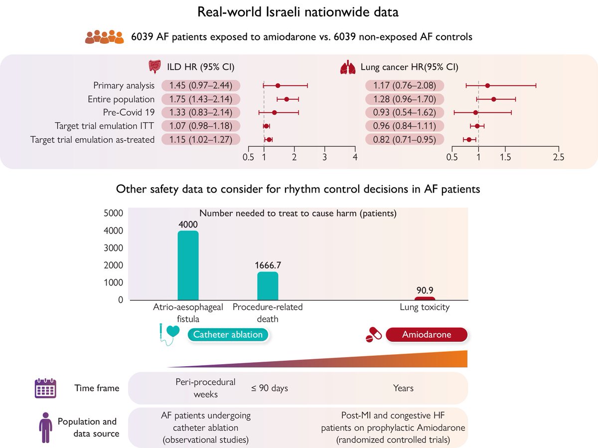 Amiodarone for atrial fibrillation: a dead man walking? Read the latest editorial in #EHJ.
doi.org/10.1093/eurhea…
#amiodarone #AF ##cardiotwitter <a href="/ESC_Journals/">European Society of Cardiology Journals</a> <a href="/escardio/">European Society of Cardiology</a>