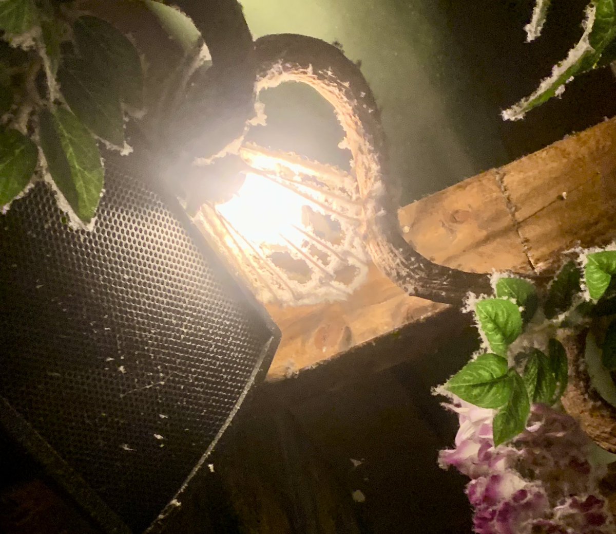 L_Nicola_'s tweet image. So pleased the dust from above our table didn’t drop into our food out cause a fire! @thebotanistuk  #needtoclean #firerisk #doyouwantdustwiththat