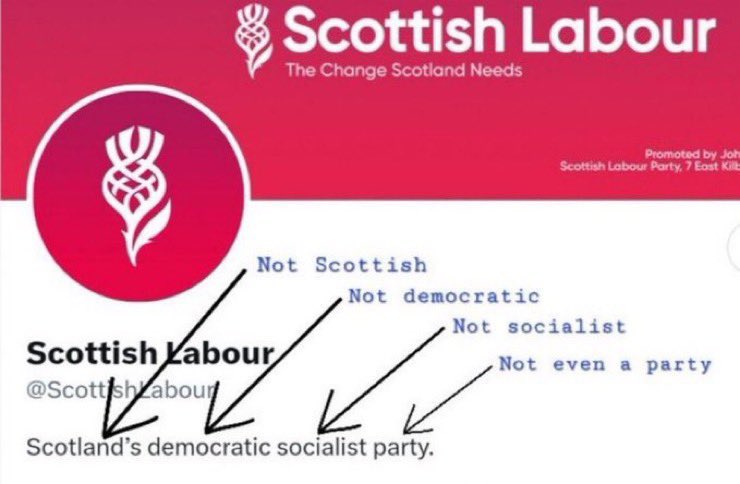 scotoshi's tweet image. 