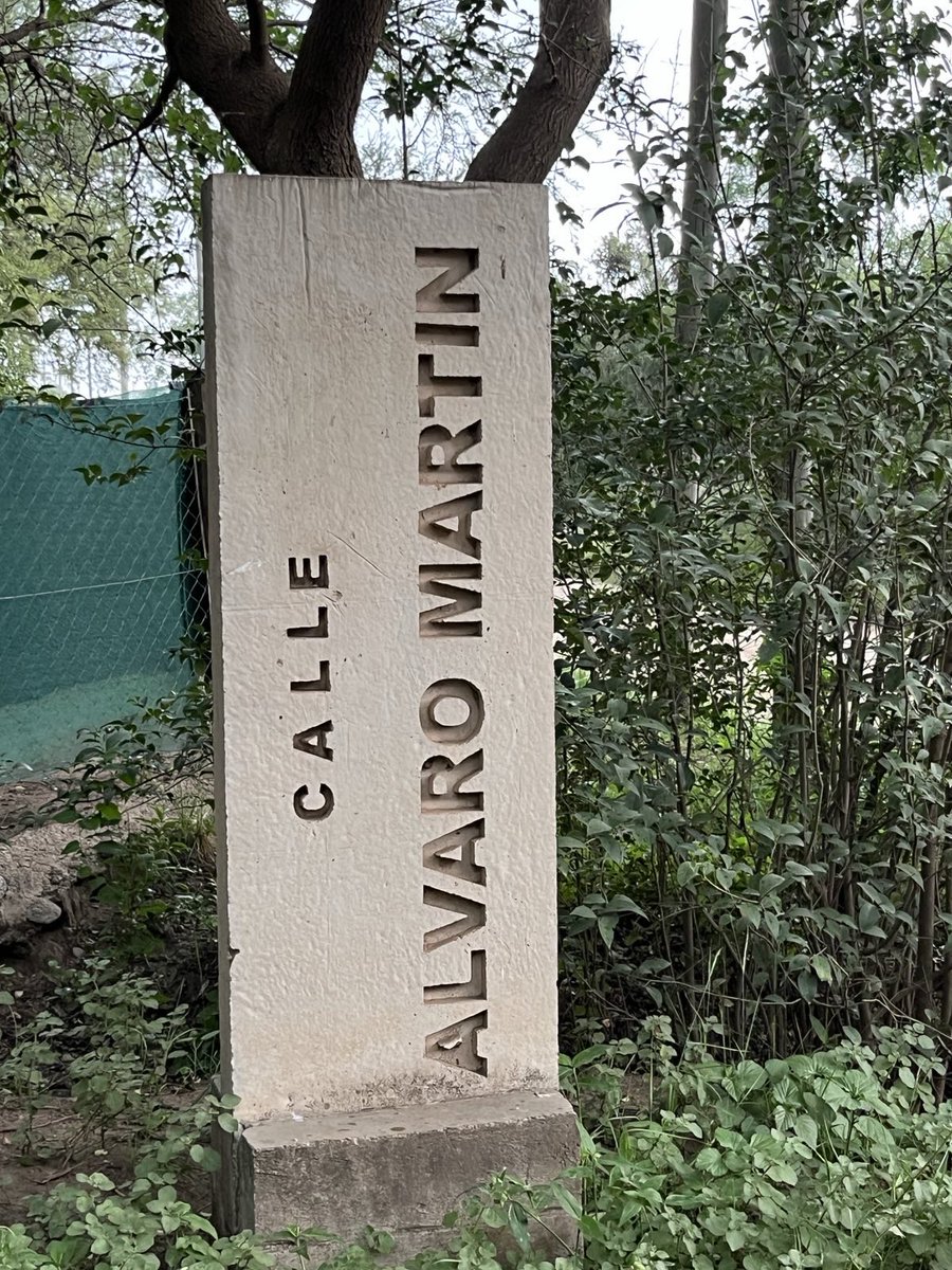 Álvaro Martín tweet media