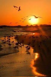 SustentoDigital's tweet photo. Buenos días 

Siempre disfruta tu presente hoy, mañana Dios dirá…!

Recuerda : 
La vida es bella..!

Será un #Clima fresco nublado #CdValles #SanLuis #Tampico https://t.co/lgRn4ooCYR