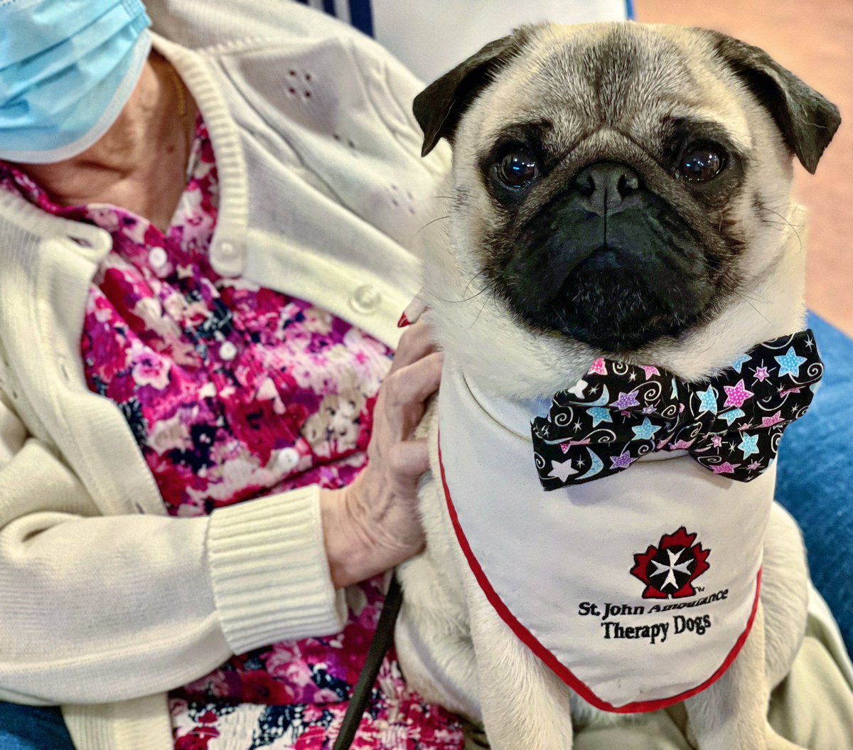 IgorPugDog's tweet photo. Did our last visit of #2023 yesterday … helped Sister Carol celebrate her birthday 🎂 ~ Lil C 

#pug #therapydog #nuns #sistersofstjoseph @LdnTherapyDogs #ldnont https://t.co/arn48BKhPT