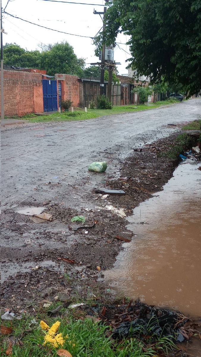 raul_profe's tweet photo. Vecinos de Mier.., el basurero pasa temprano y a horario, pero los haraganes sacan la basura a cualquier hora y tiran en la calle...José Ingenieros y Rio Chico barrio industrial 😡😡😡 https://t.co/Eof3G7b6Hs