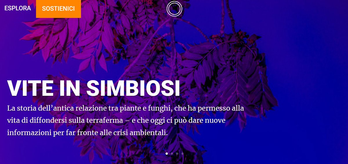 Anna Violato tweet media