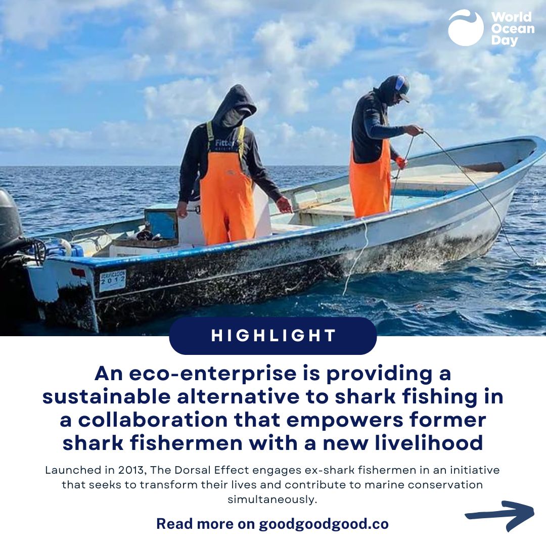WorldOceansDay's tweet photo. We all deserve to end this year on a happy note. Swipe though to see a few more climate wins of 2023.

#HappyHeadlines https://t.co/0fdYl7WiMw
