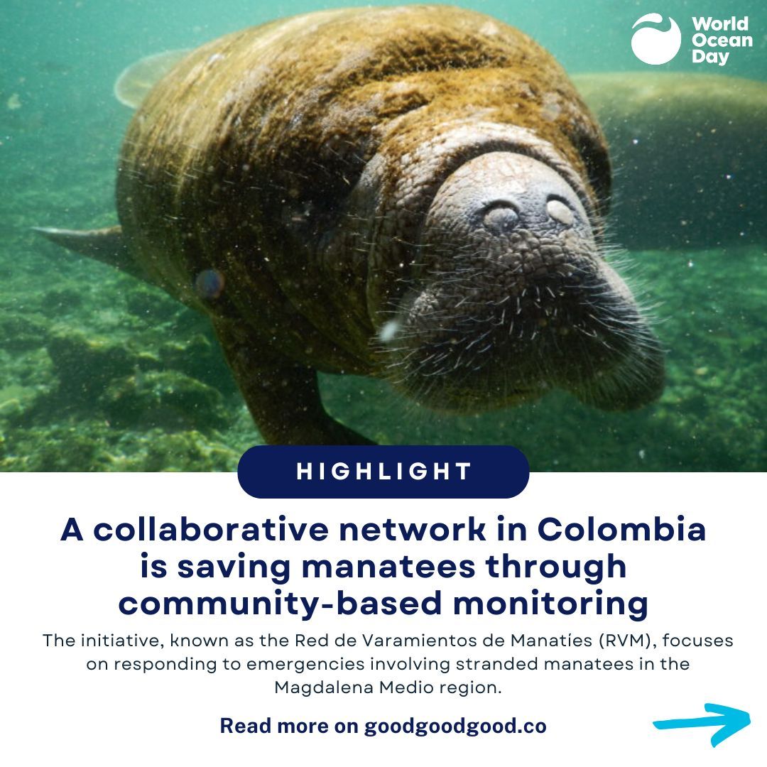 WorldOceansDay's tweet photo. We all deserve to end this year on a happy note. Swipe though to see a few more climate wins of 2023.

#HappyHeadlines https://t.co/0fdYl7WiMw