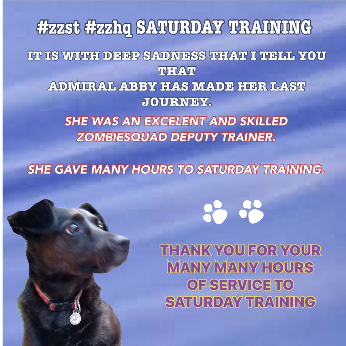 #zzst #zshq.... @sweetAbby20 @Helen09Porter FINLAY & I ARE BROKEN HEARTED TO HAVE TO MAKE THIS SAD SAD ANNOUNCEMENT TO YOU ALL. We will be cancelling Saturday Training (30.12.23) in memory of sweet Abbs, and as a tribute to her years of service.