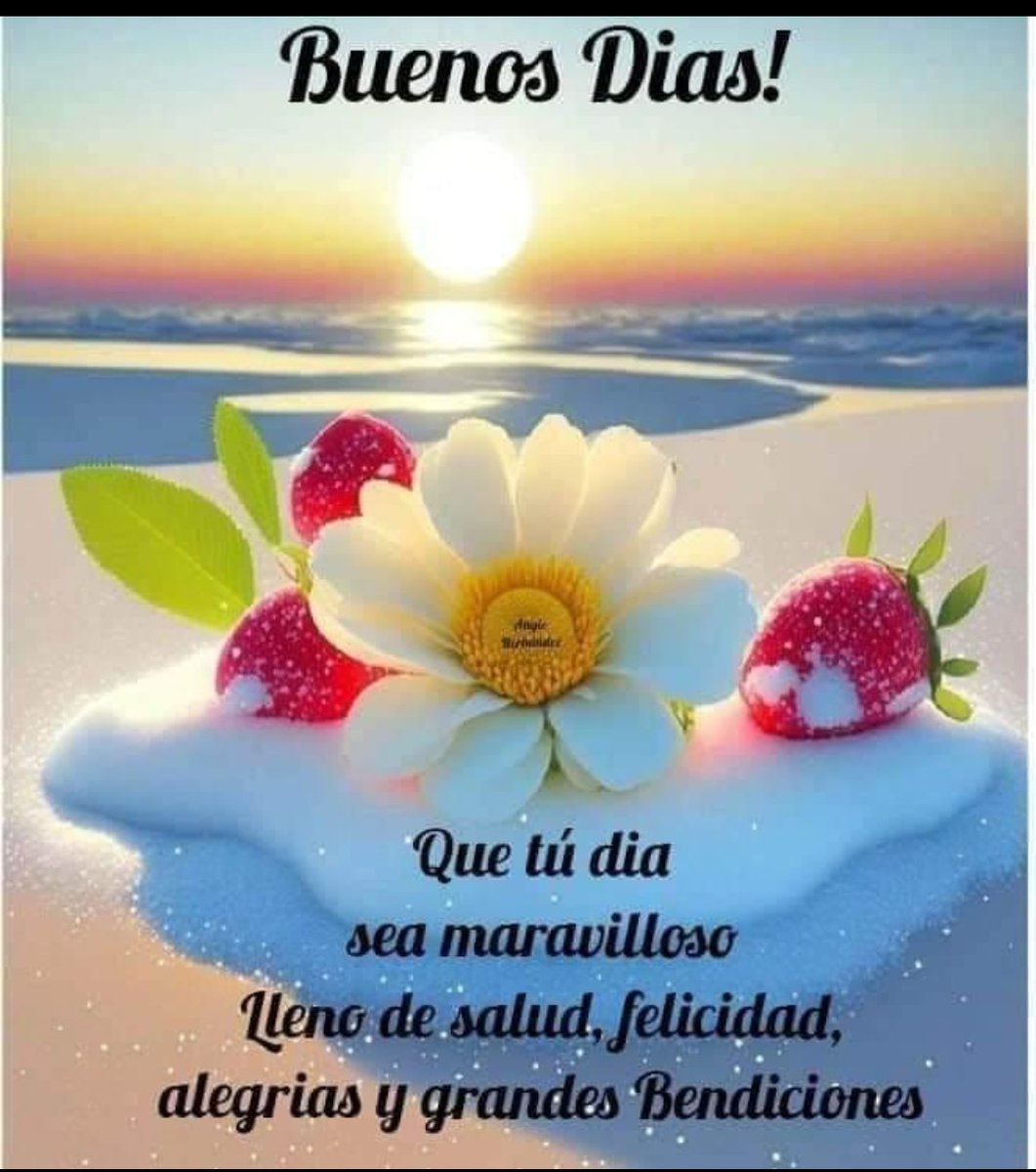 Buen dia