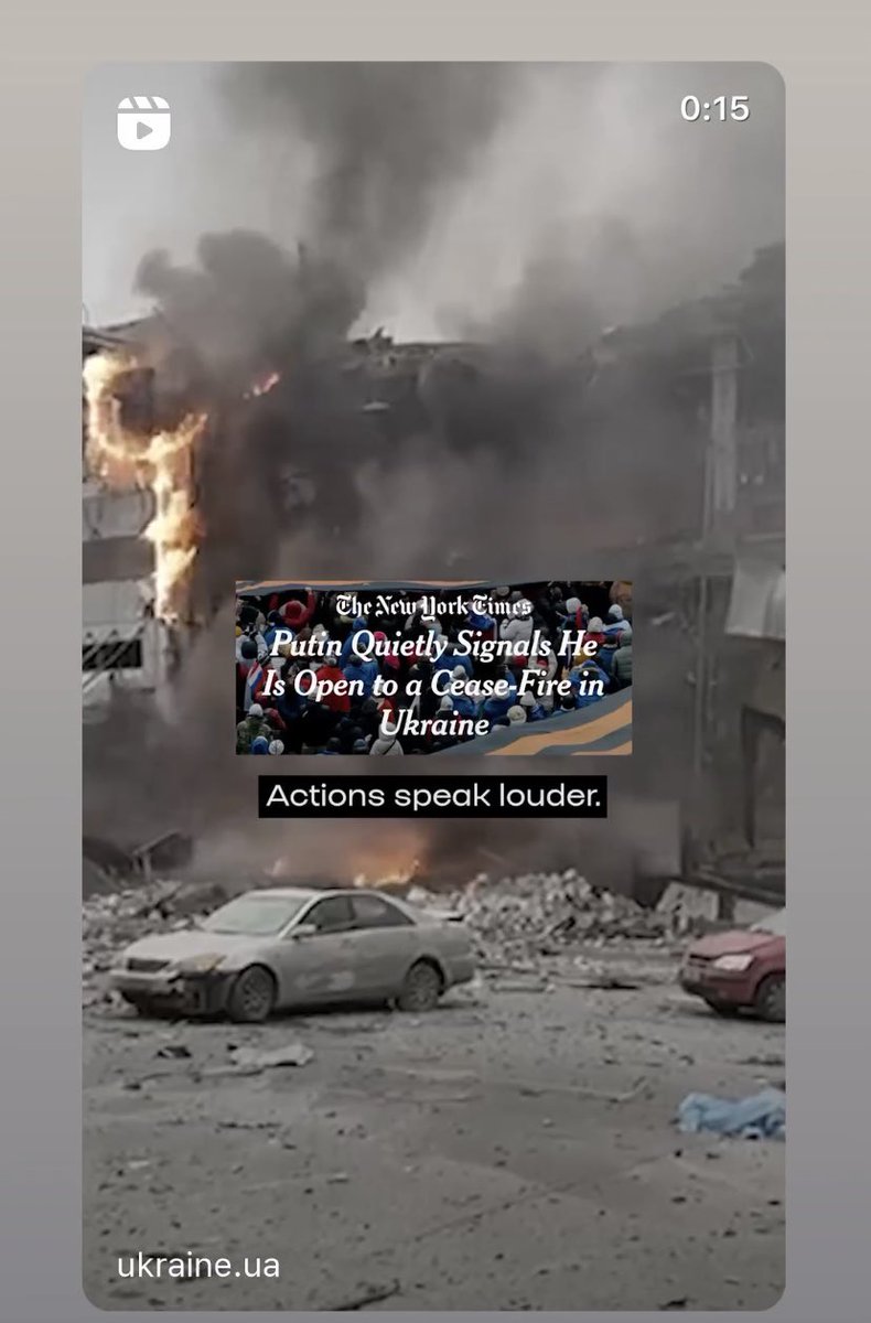 Sonja Wilson tweet media