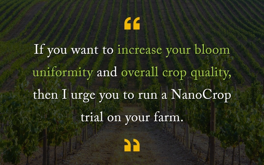 WCAProducts's tweet photo. Looking to up your crop quality next season?

Take it from our farmer, Craig, "If you want to increase your bloom uniformity and overall crop quality, then I urge you to run a NanoCrop trail on your farm."

Learn about Craig's experience ⤵️
https://t.co/zGJ8F0liLZ https://t.co/Gq3XzTluXn
