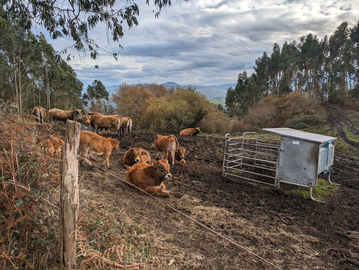 NMcDDublin's tweet photo. Winter in the north of Spain #Asturias #ribadedeva #pimiango https://t.co/LsDVE7CwNo