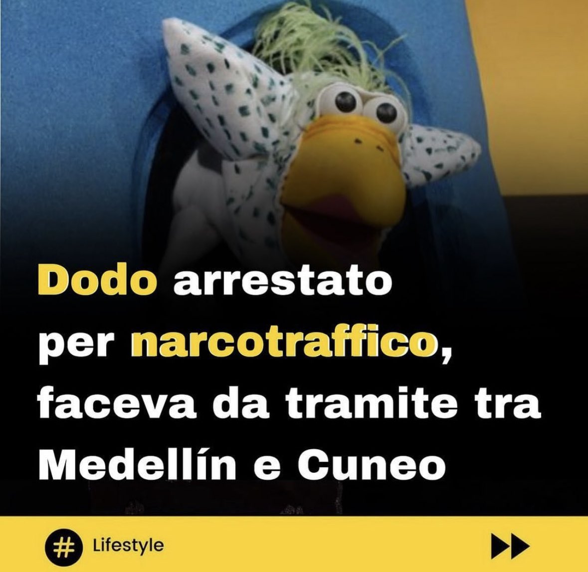 #freedodo