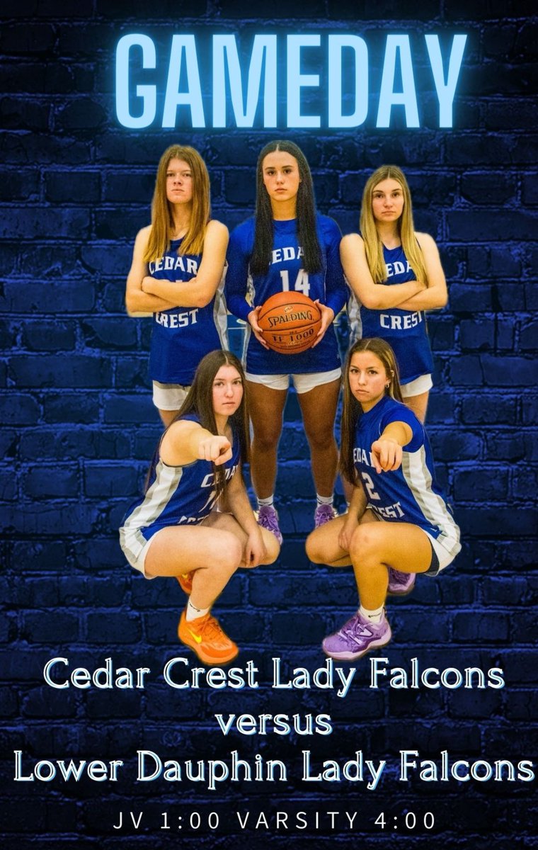 Your Lady Falcons take the court in the Championship game today at 4:00! Come out to Lower Dauphin HS to 👏👏🙌🙌👏👏 or catch them live on youtube.com/@FBCLowerDauph…
Or on Hudl Fan: Lower Dauphin High School
<a href="/CLSD_Schools/">Cornwall-Lebanon SD</a> <a href="/CCHSFalcons/">Cedar Crest Athletics</a>