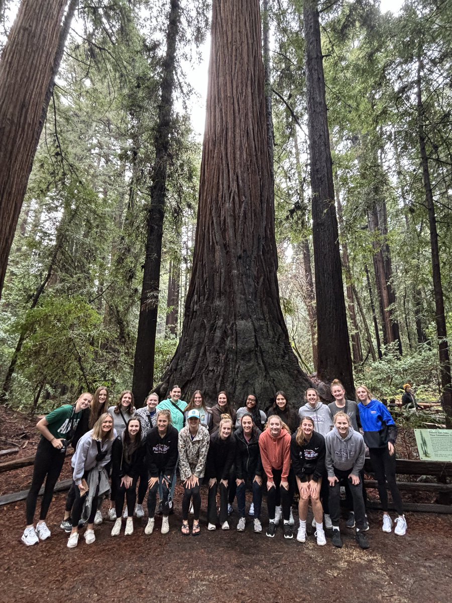 UWPlattWBB's tweet photo. Great day yesterday…. Took in forest air &amp; sea air!! #Redwoods #BananaSlugs  #Boardwalk #OceanBreeze https://t.co/Bqo9ruvmQT