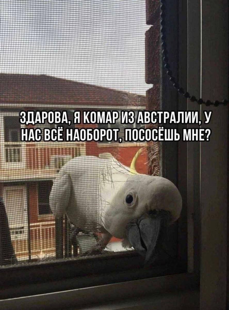 с чего вынесло меня сегодня