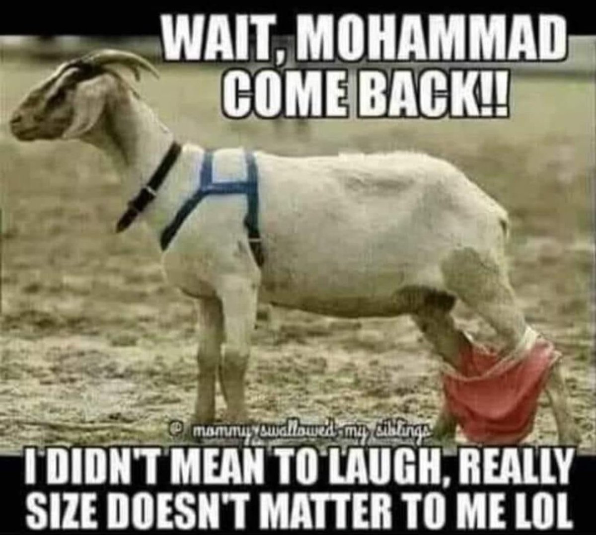 dana2may's tweet photo. @MissNovaEclipse #ROTFLMFAO https://t.co/K9nSE7C5i9