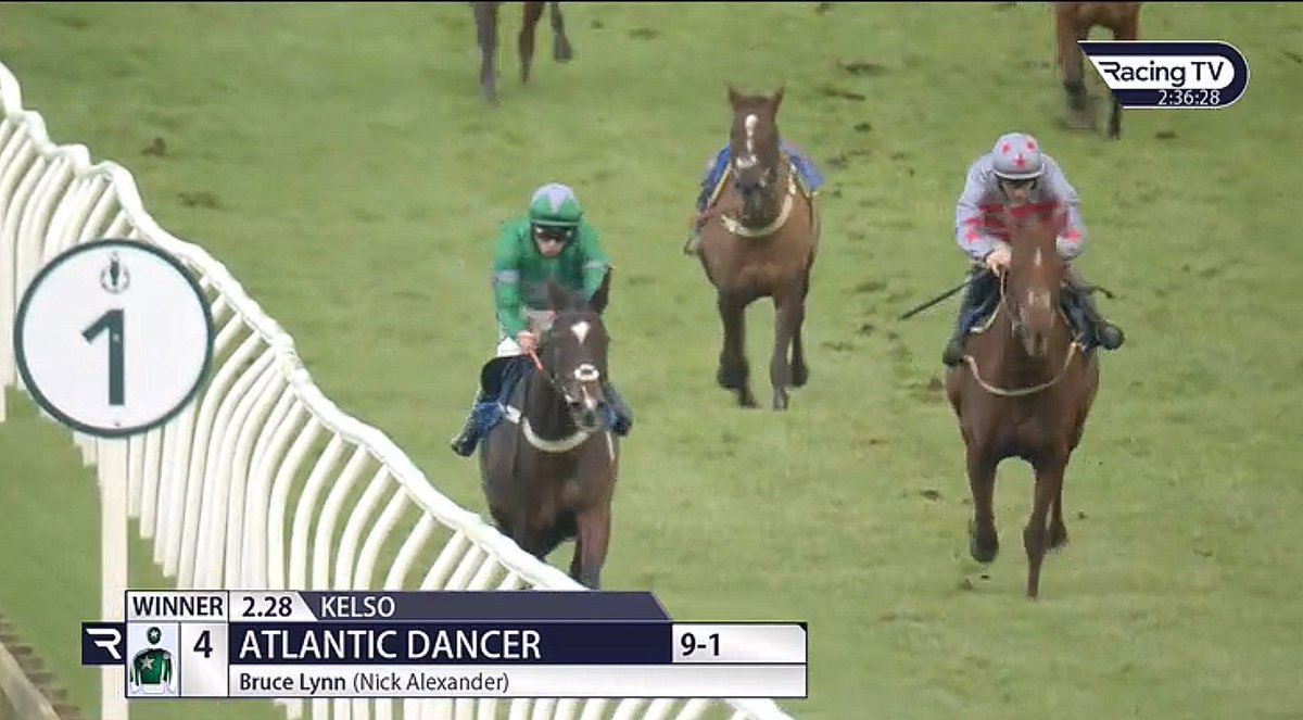 Showing the young’uns a clean pair of heels. Atlantic Dancer gets her 4th win. Well done all. @brucelynn0 @kinneston
