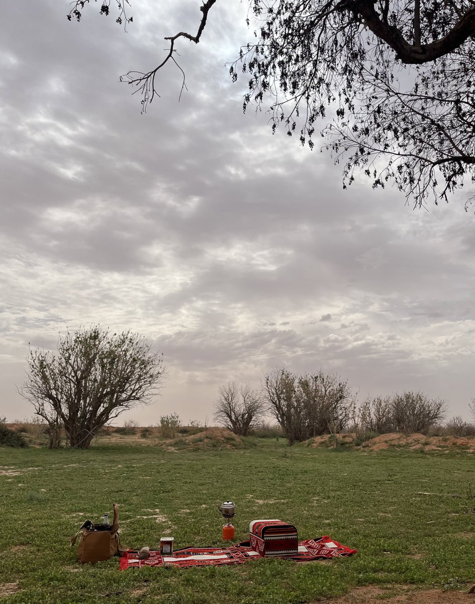 عصرية الاجواء الزينه