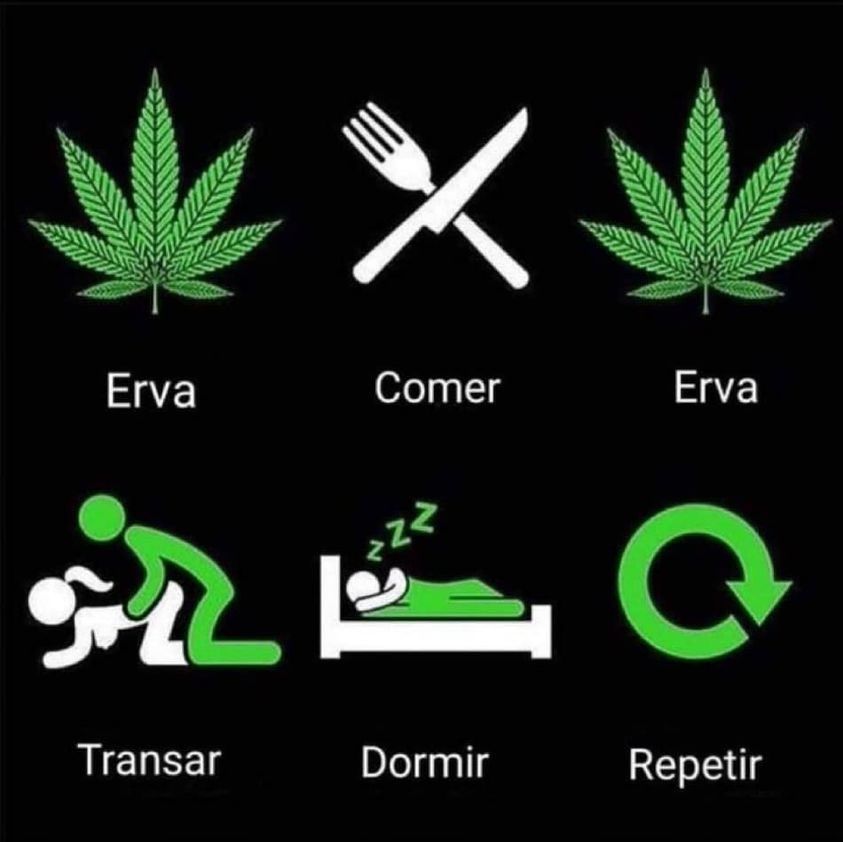 Receita de como viver em paz ✌️