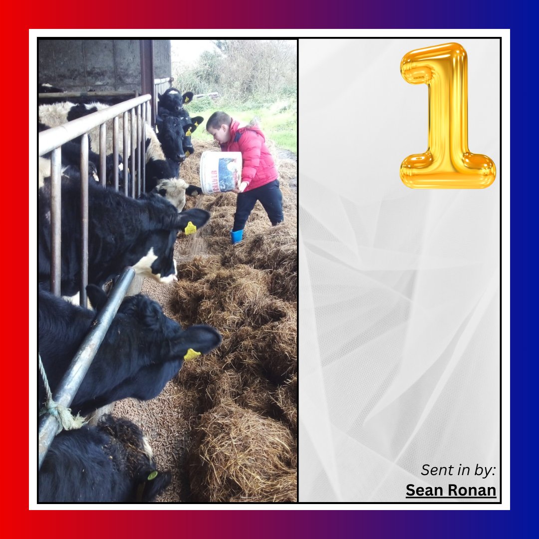 Drinagh Agribusiness tweet media